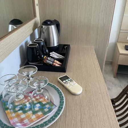 Otel Krini *